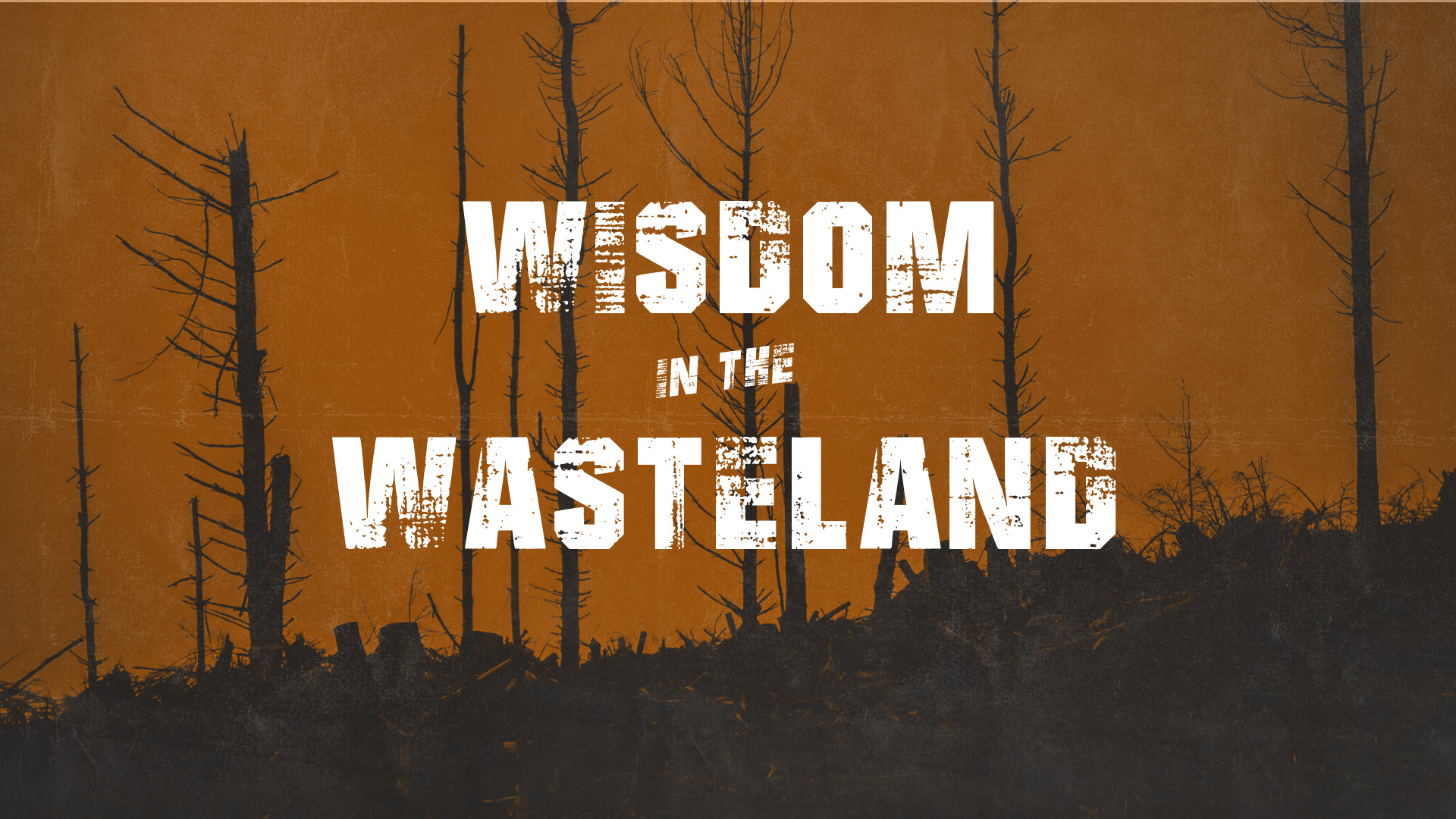    Wisdom in the Wasteland